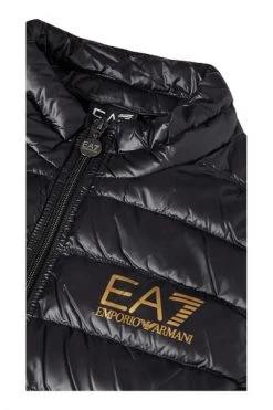 Emporio Armani EA7 Bodywarmers Accessories Black 7 Emporio Armani EA7 Bodywarmers Accessories Black -Goedkope Emporio Armani EA7 winkel 00d2a2e41c058a66808861db1a61f2ce
