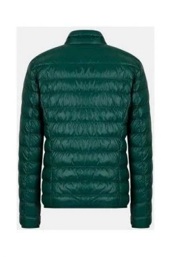 Emporio Armani EA7 Gewatteerde Jassen Down Jackets Green