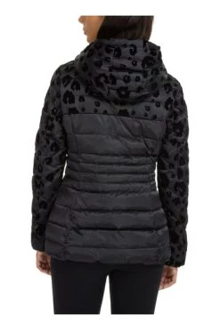 Emporio Armani EA7 Gewatteerde Jassen Women's Outerwear Down Jacket Blouson Hood Ardor 7 Black