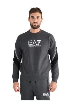 Emporio Armani EA7 Hoodies & Sweatvesten Sweater Gray